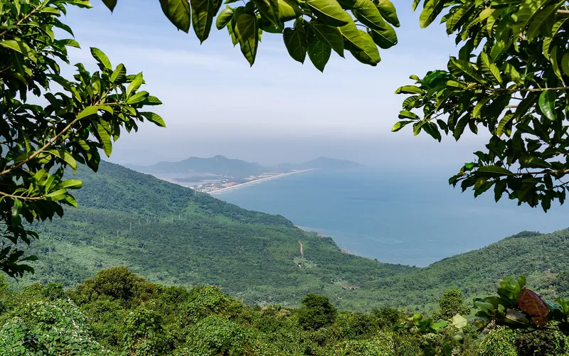 Lang Co bay and beach seen through trees from the Hai Van Pass road, with forested hills sloping to the sea