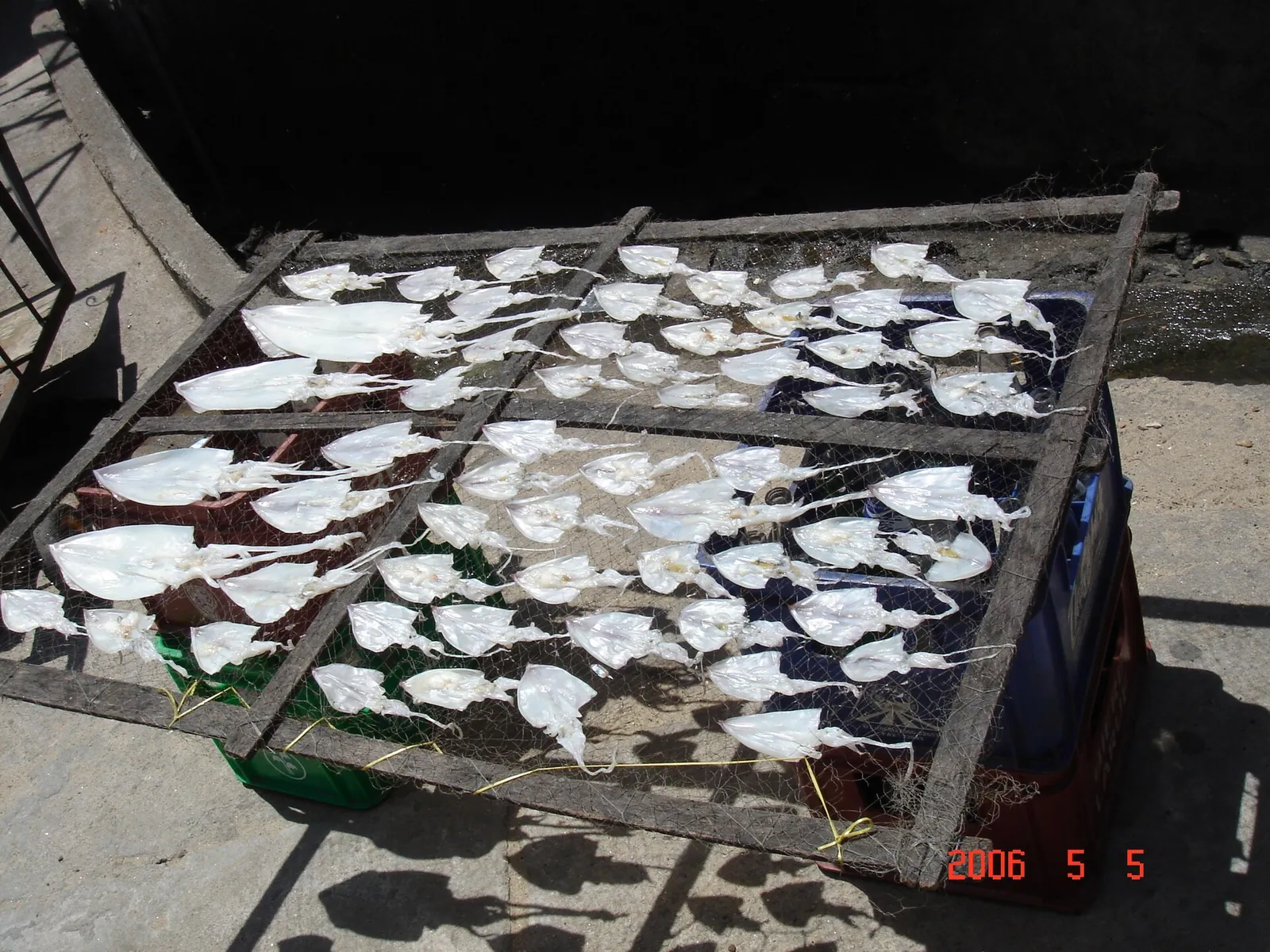 Squid split open and drying on mesh racks in the sun on the Cham Islands