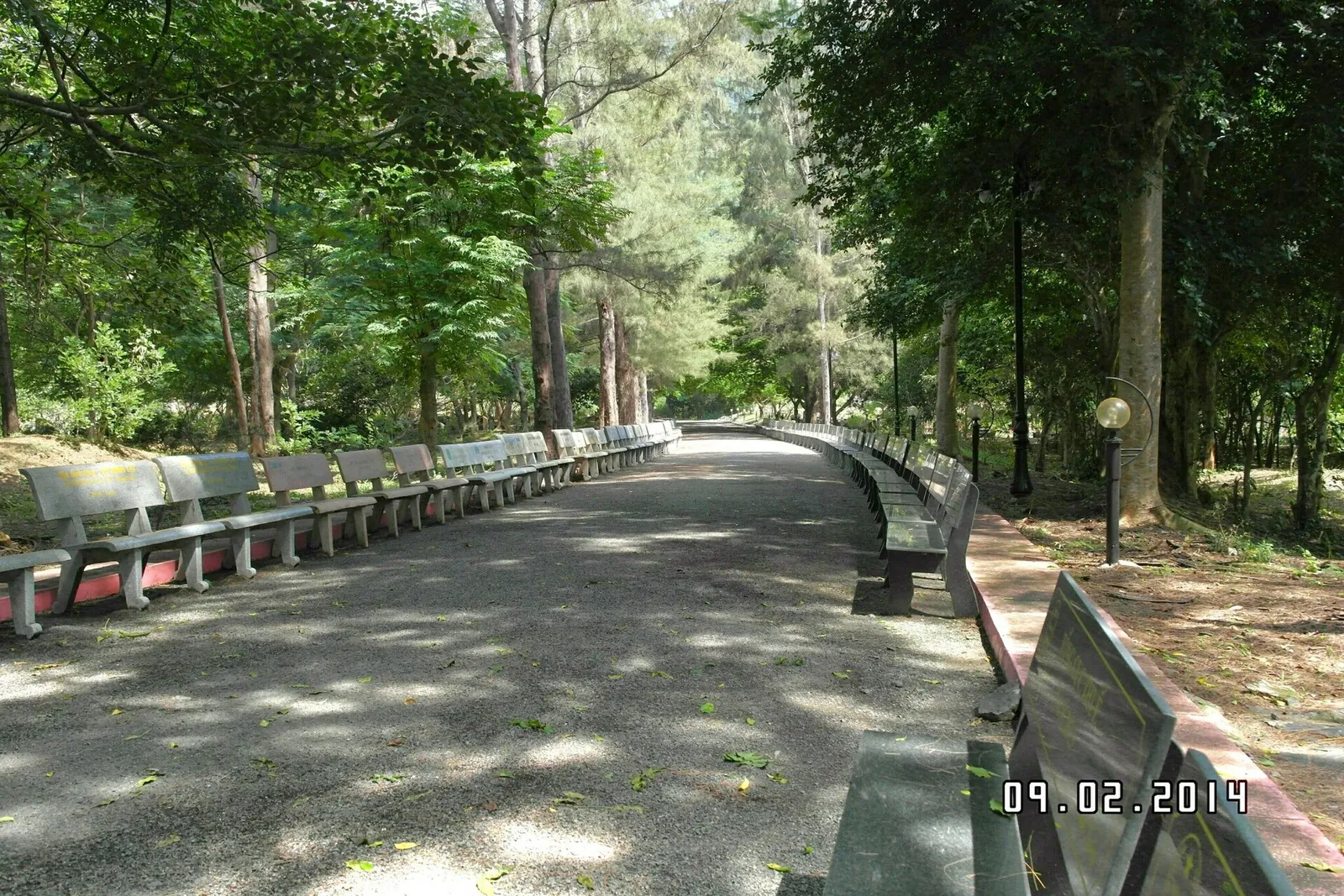 Shaded tree-lined avenue with benches leading through Hang Duong Cemetery on Con Dao