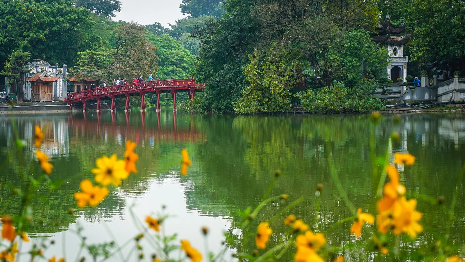 Red-painted The Huc Bridge crossing green Hoan Kiem Lake towards Ngoc Son Temple, with yellow flowers in the foreground