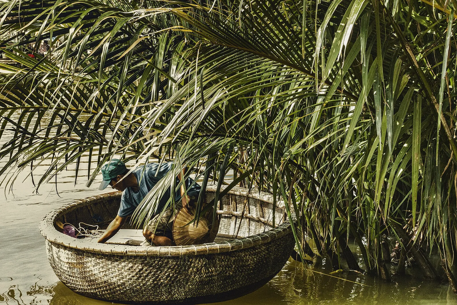 A person in a round basket boat among nipa palms at Cẩm Thanh near Hoi An