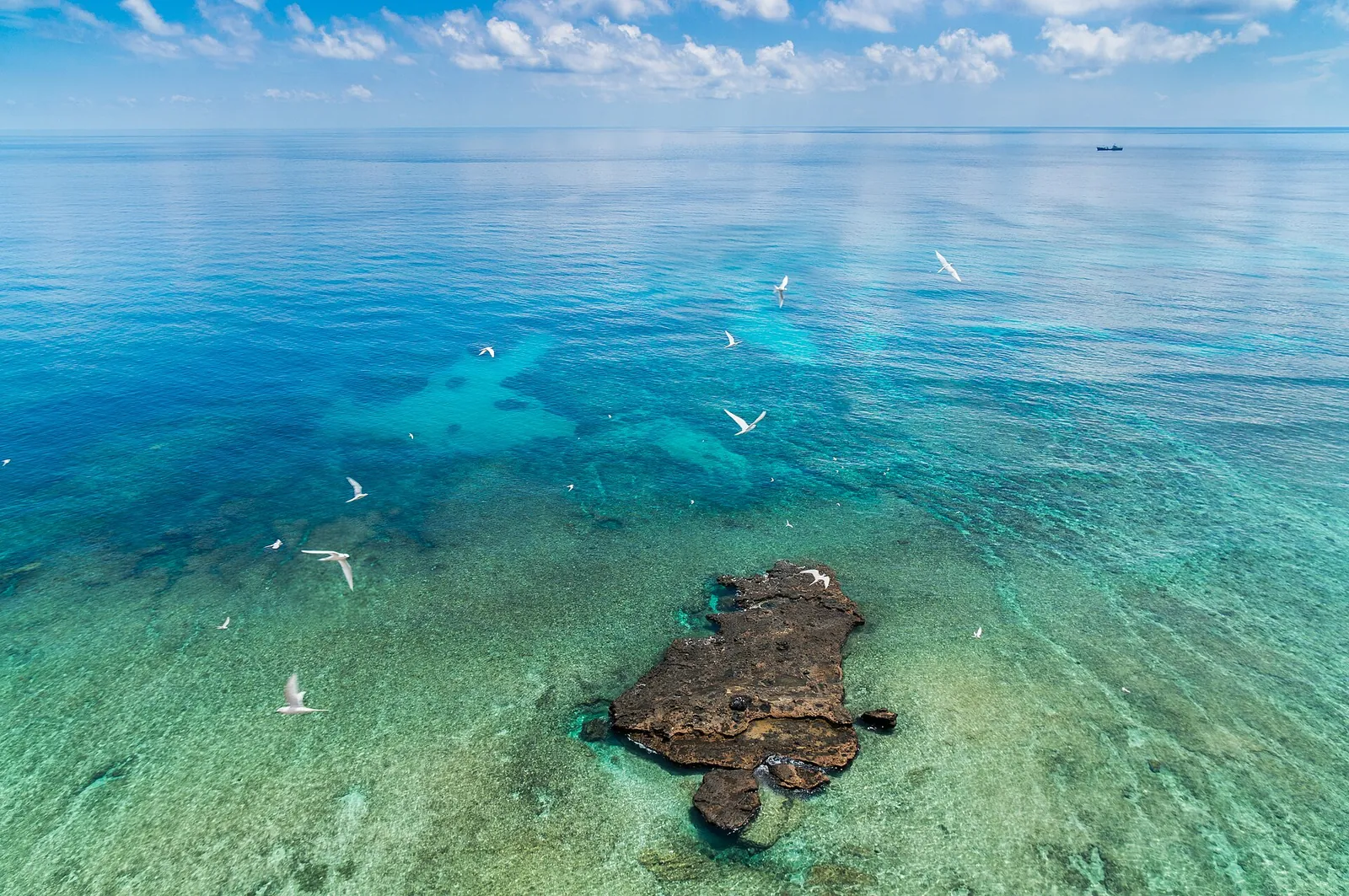 Aerial view of a dark rock outcrop in shallow turquoise water off Ly Son, with seabirds overhead
