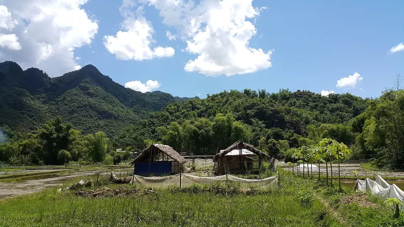 Rice fields and thatched huts below forested limestone hills at Ban Lac, Mai Chau