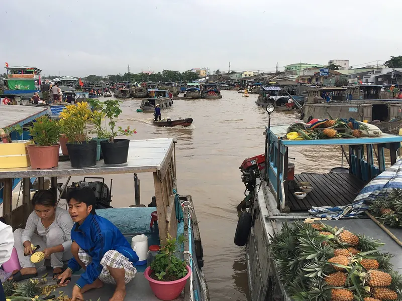 Wooden boats loaded with pineapples and potted plants at the Cai Rang floating market on the Can Tho River
