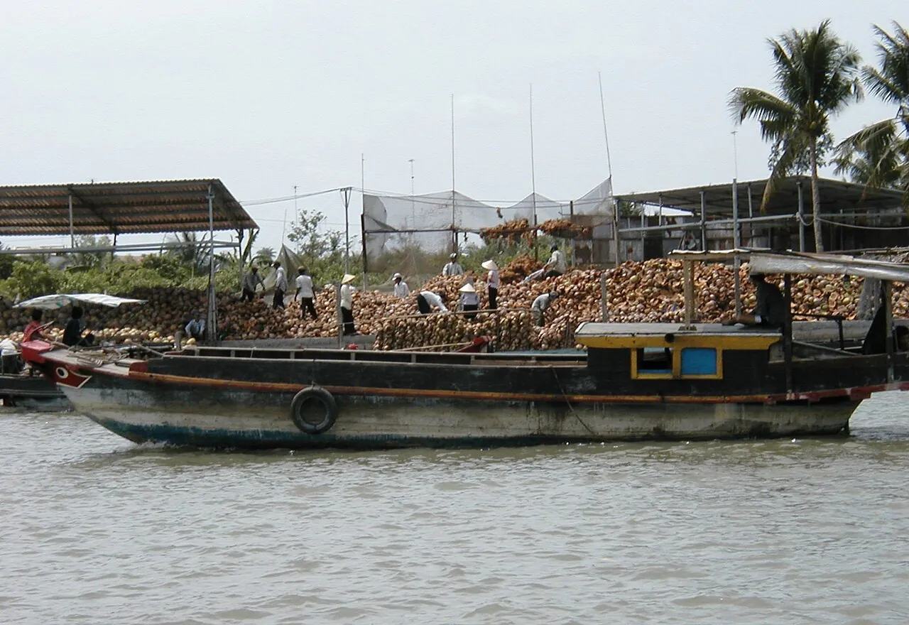 A boat piled with coconut husks moored at a riverside yard lined with coconut palms in Binh Dai, Ben Tre
