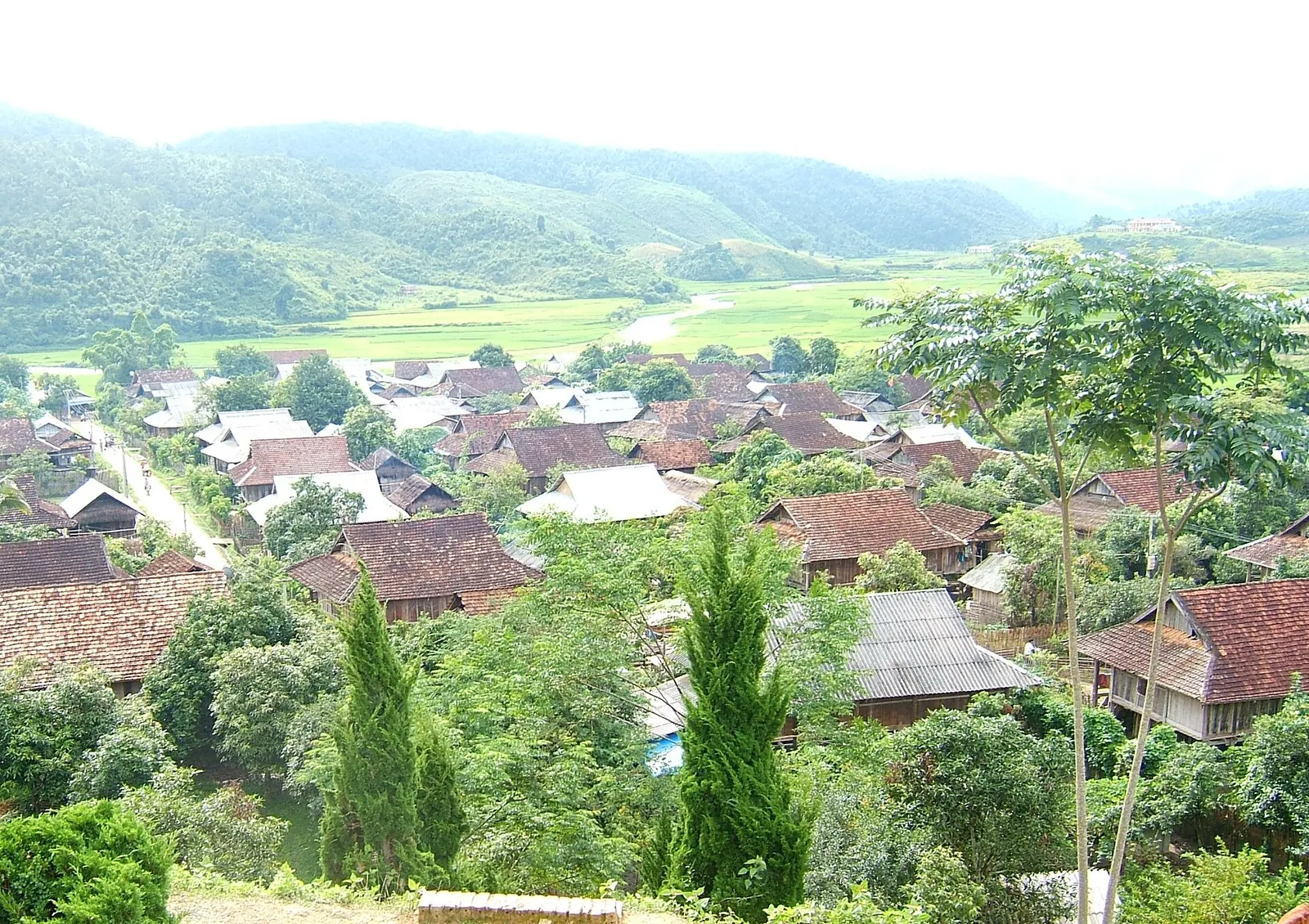 Wooden houses with tiled and metal roofs in a green valley of rice fields near Moc Chau