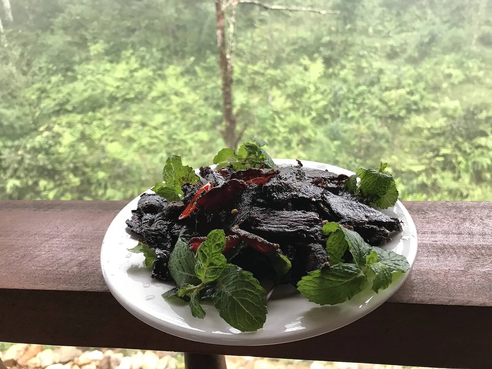 A plate of dark smoked buffalo meat strips with fresh herbs on a wooden balcony rail