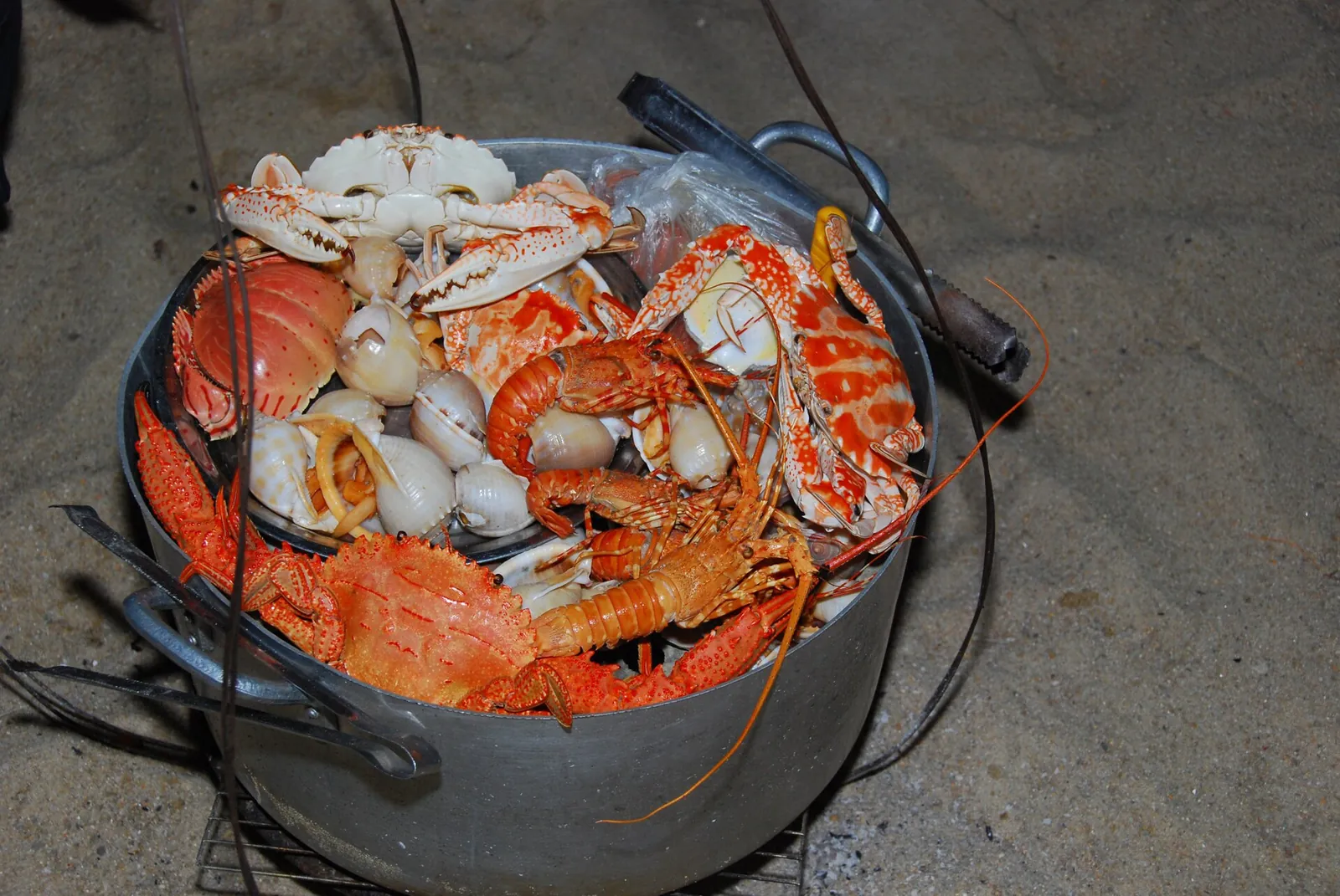 A pot of cooked crabs, lobster and shellfish set on the sand in Loc Tho, Nha Trang