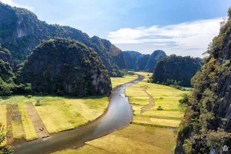 The Ngo Dong River winding between golden rice fields and limestone peaks at Tam Coc