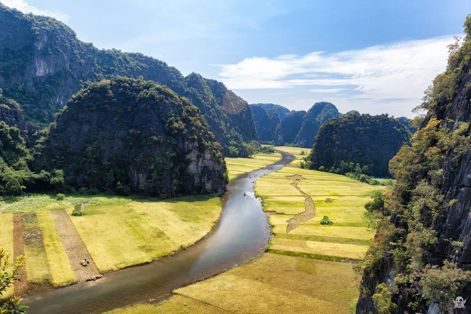 The Ngo Dong River winding between golden rice fields and limestone peaks at Tam Coc
