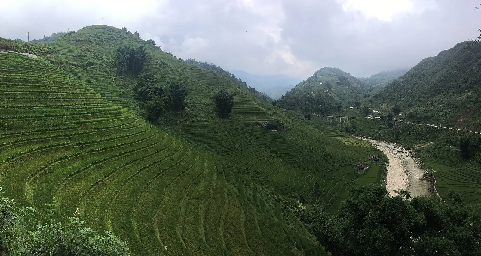 Green rice terraces on a hillside above a river in the Muong Hoa valley near Sa Pa