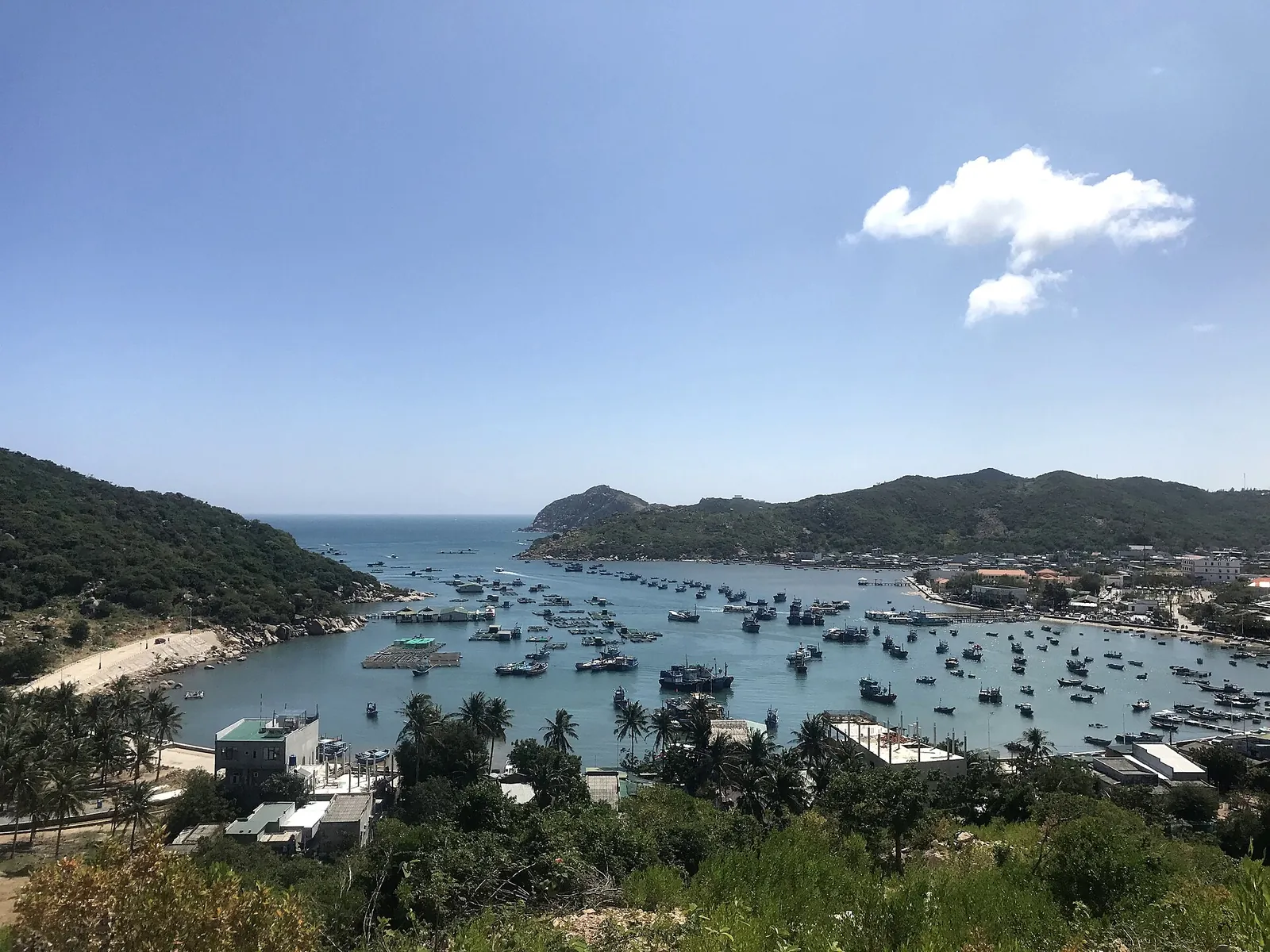 Vinh Hy Bay with fishing boats moored below green hills, seen from a slope above the village