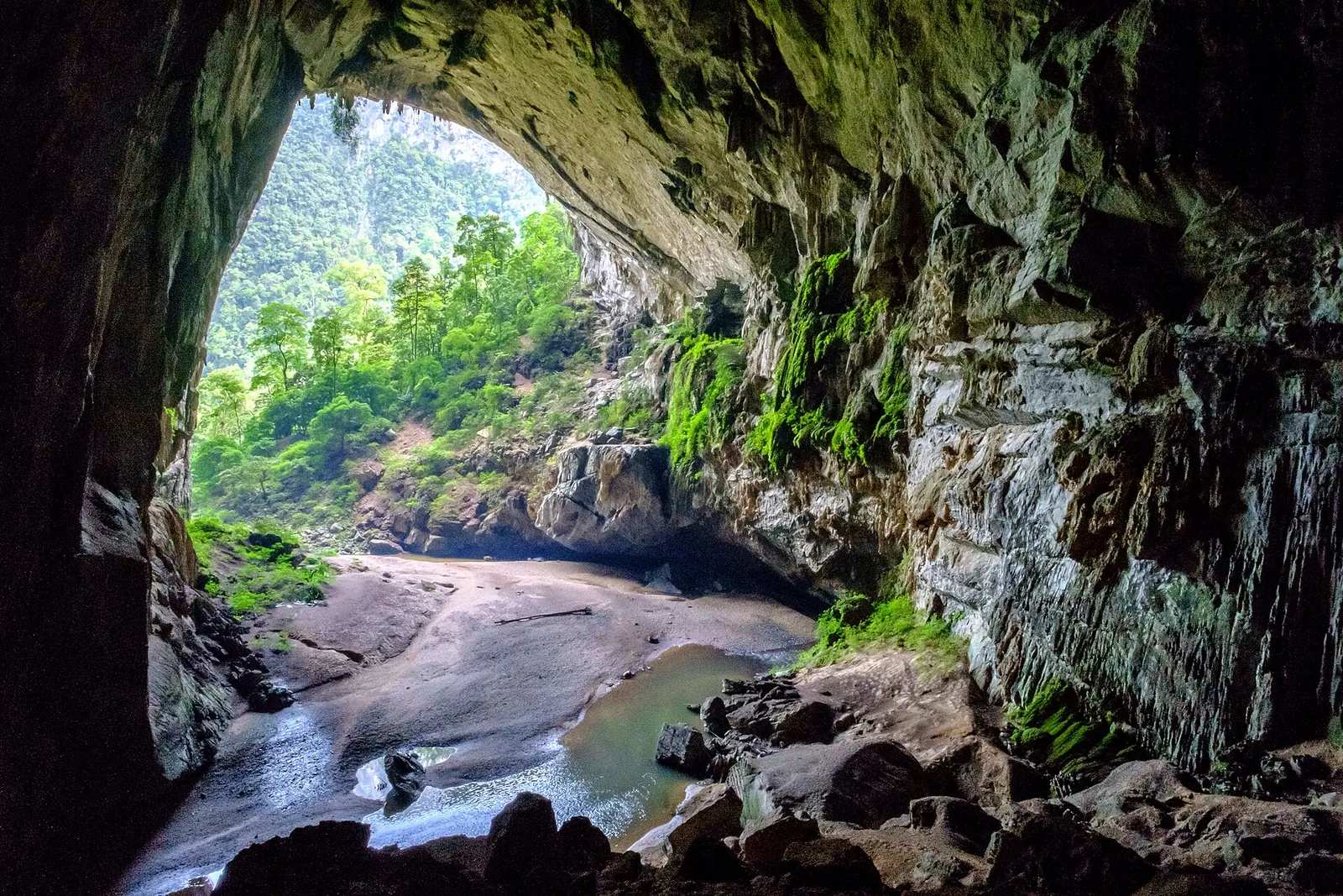 Jungle and a pebbly riverbed seen from inside a vast entrance of Hang En cave