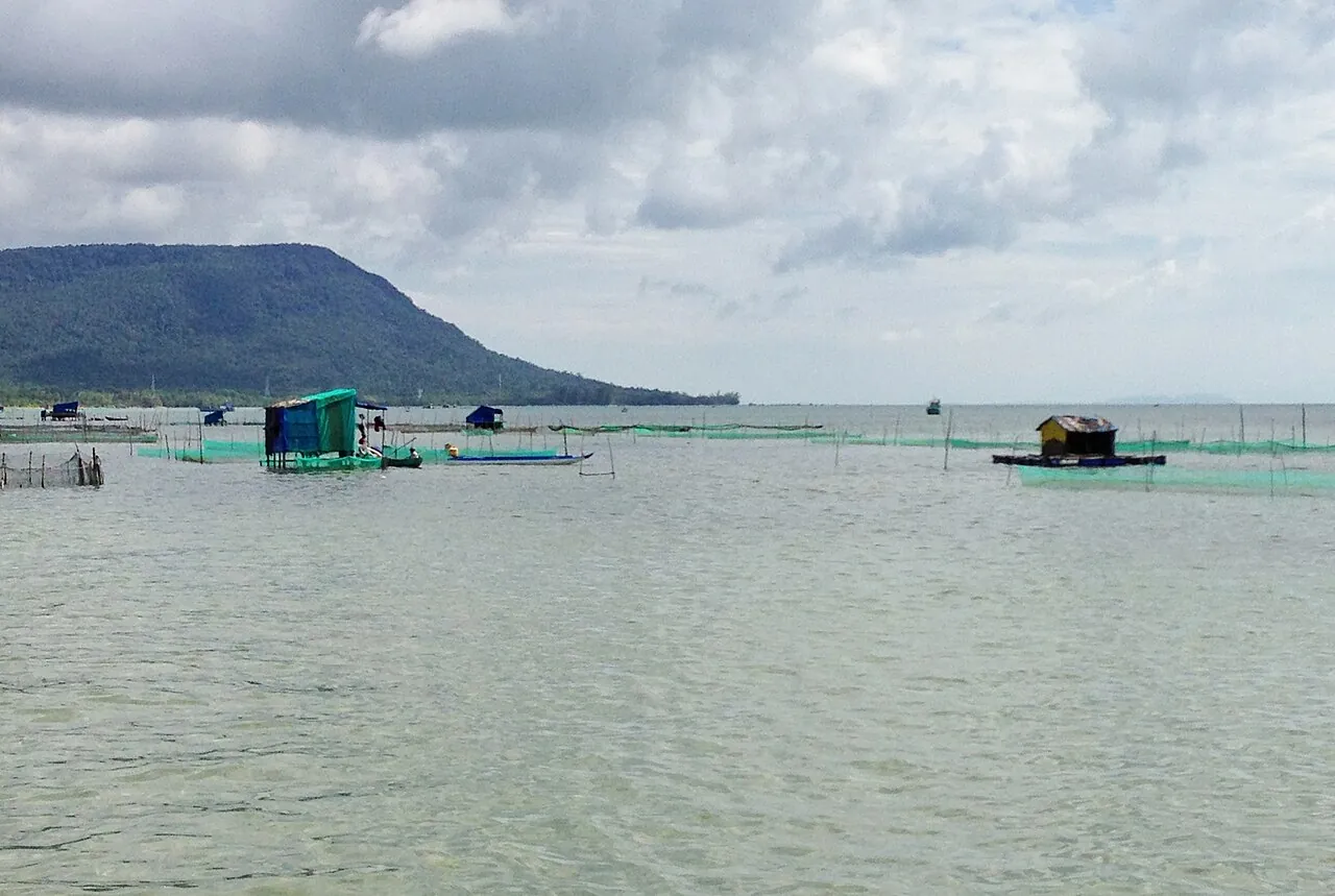 Floating fish farms and huts in the shallow sea off Ham Ninh on Phu Quoc's east coast, with a hill behind