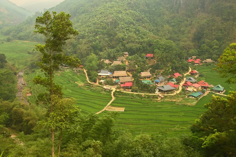 A Thai village of stilt houses among green rice terraces in a valley of Pu Luong, seen from a forested hillside