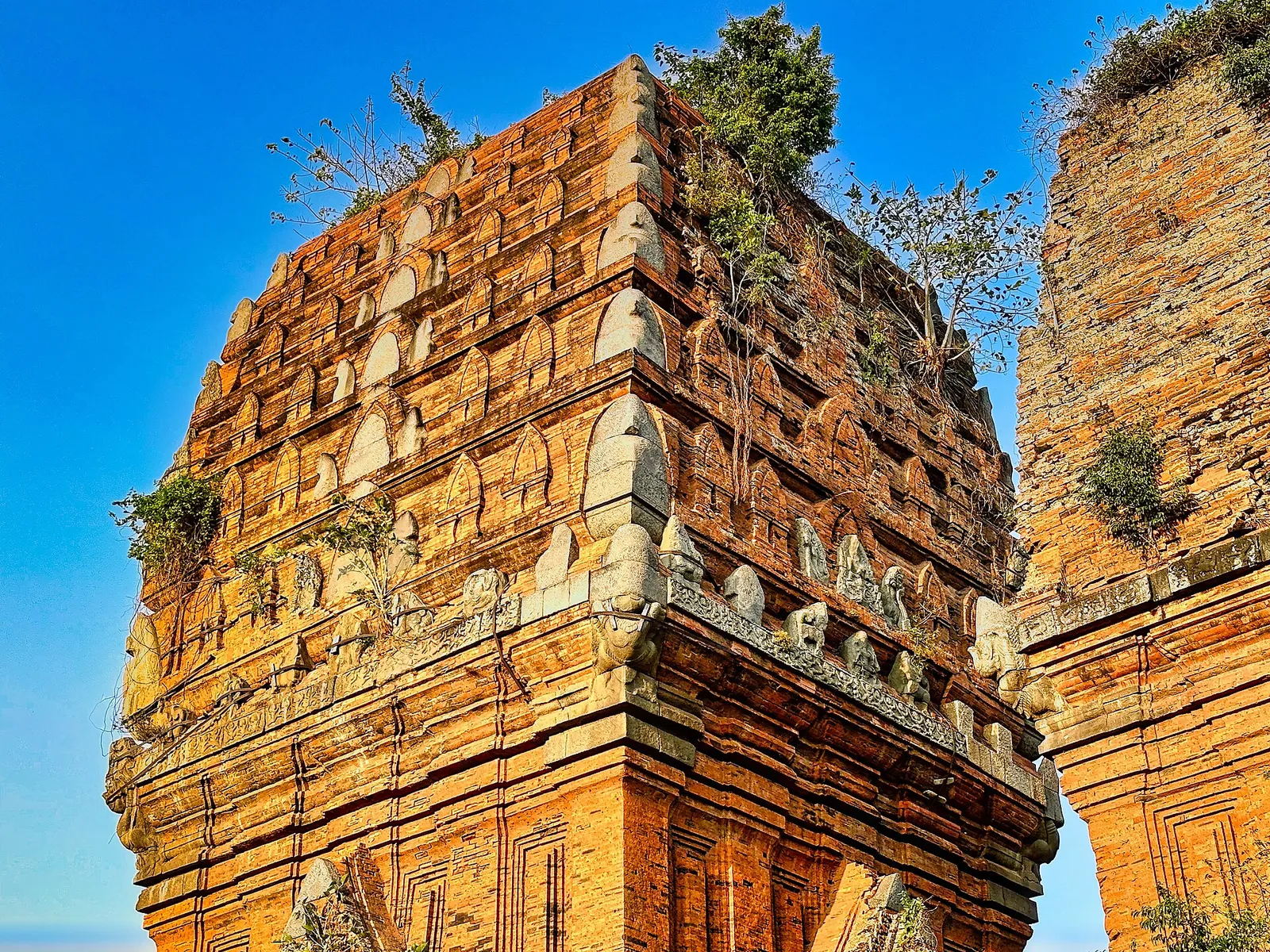 Weathered red-brick Cham tower with carved upper tiers and plants growing from the top, under a blue sky