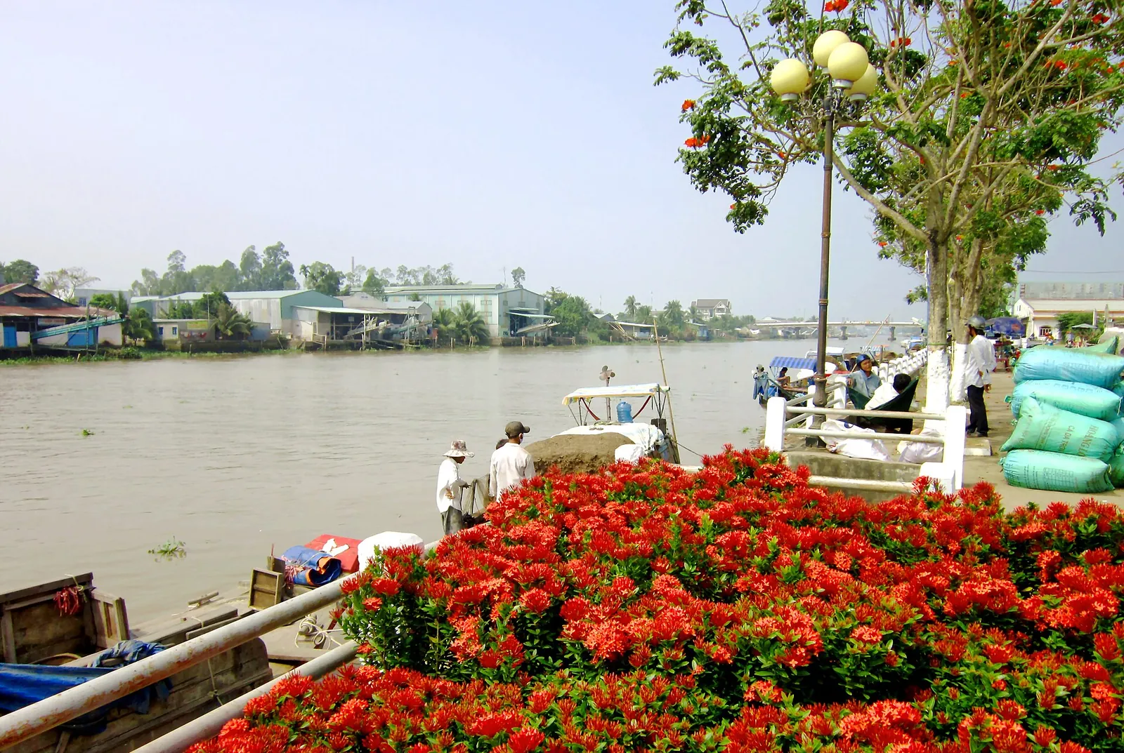 Pots of red flowers stacked at a boat landing on the Sa Dec river, with boats moored alongside