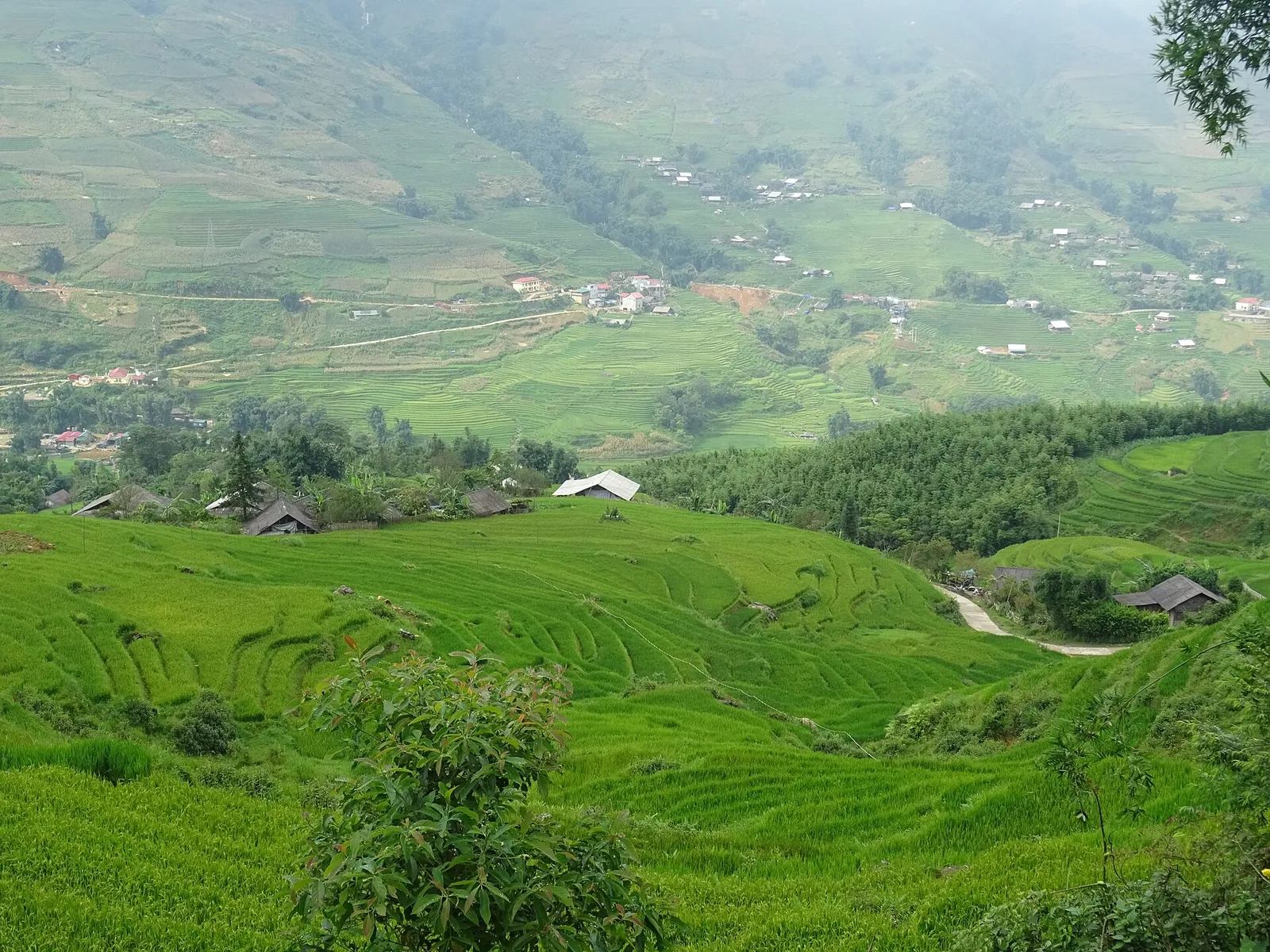 Terraced rice fields and scattered houses on the slopes of the Muong Hoa valley seen from Ta Van