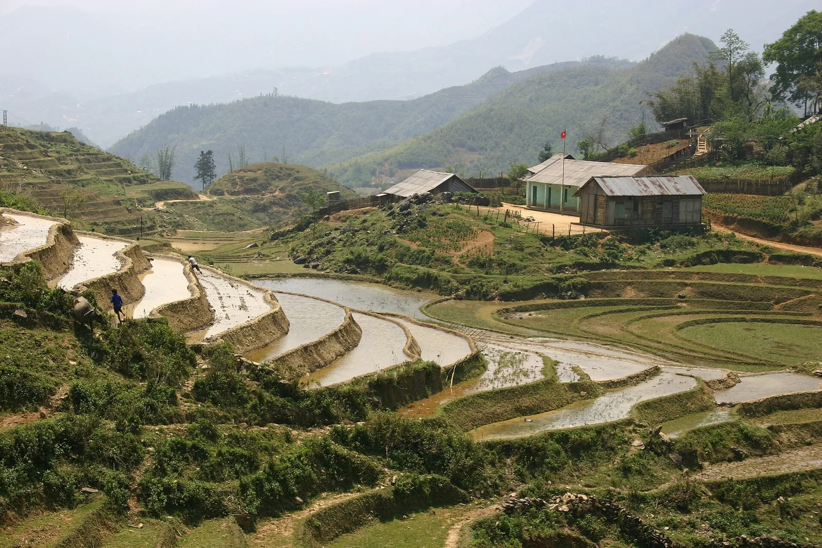 Flooded rice terraces in spring with wooden houses on a hillside near Sa Pa