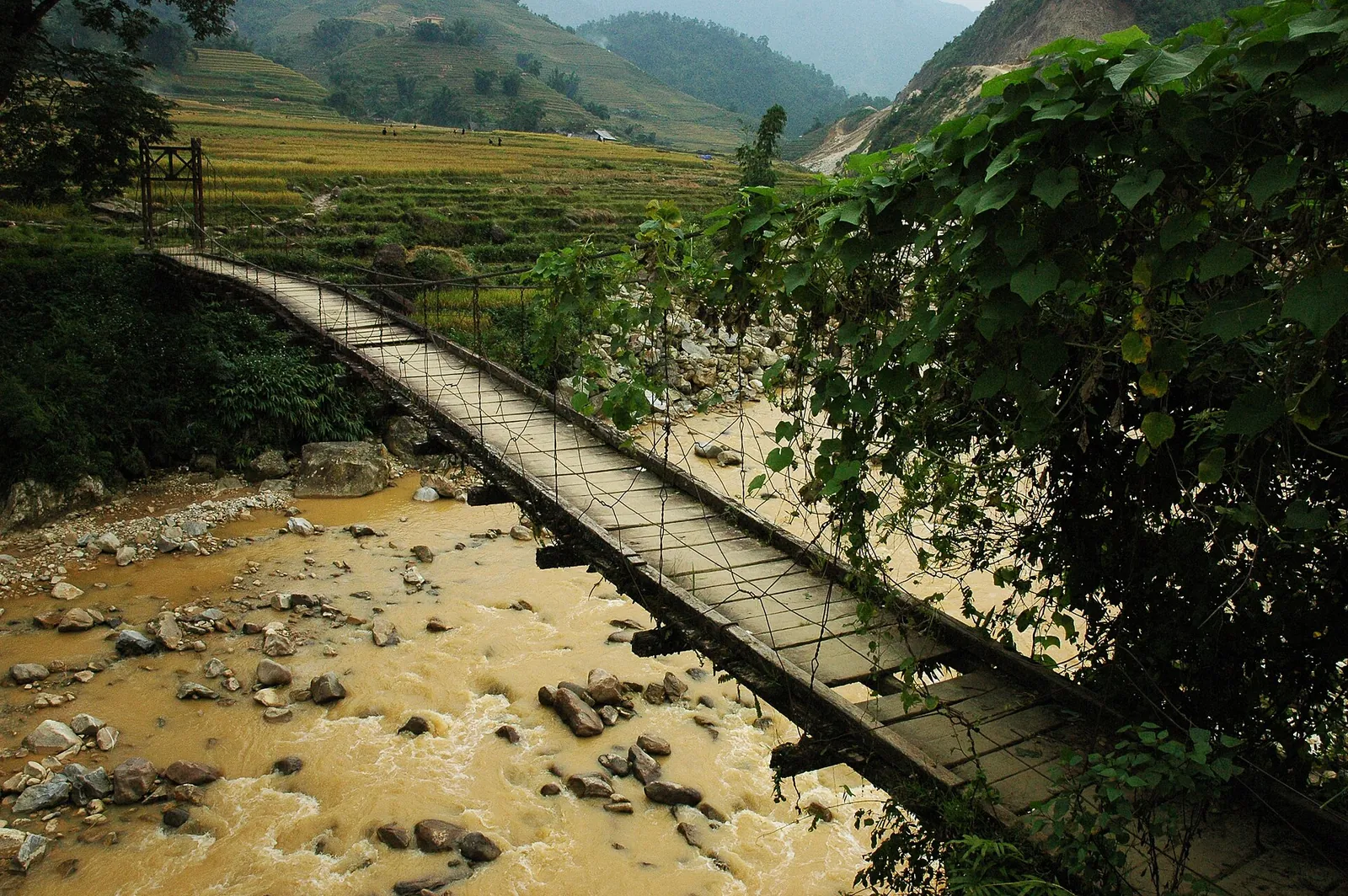 A narrow wooden footbridge across a stream between terraced fields near Ta Van