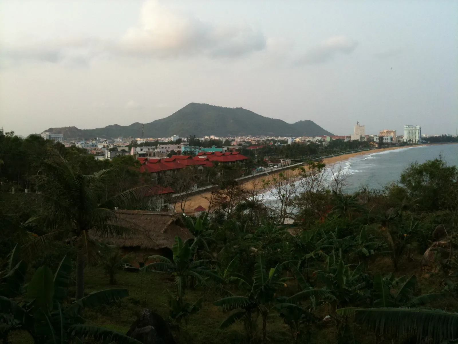 Quy Nhon's city beach curving below green hills, seen from above through trees