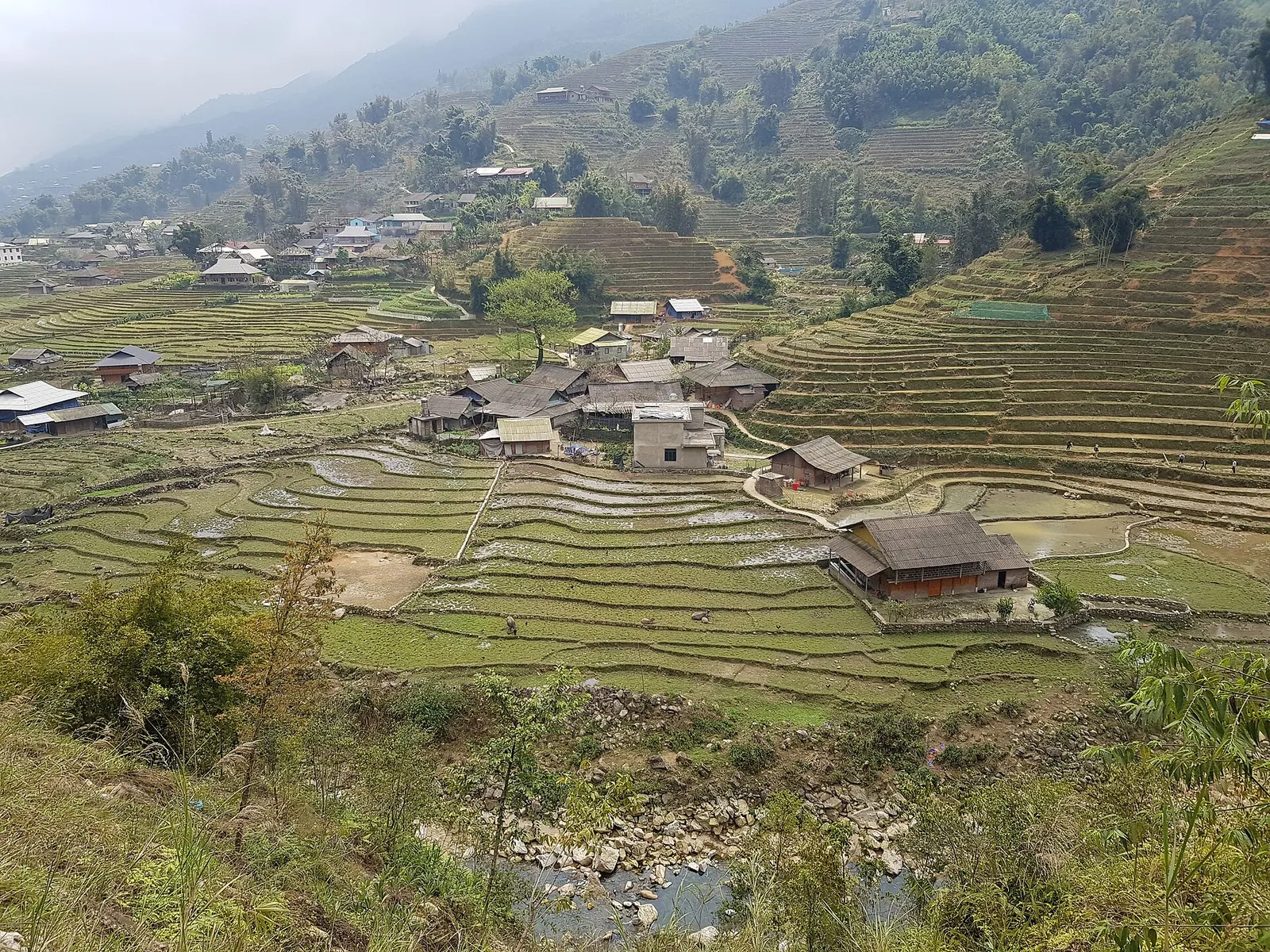 Village houses among terraced rice fields in the Ta Van valley near Sapa