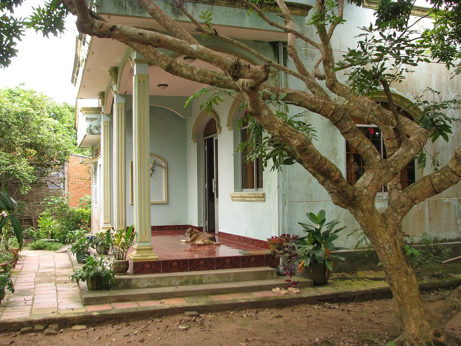 A single-storey homestay house with a porch, shaded by a tree in a garden on a Mekong islet
