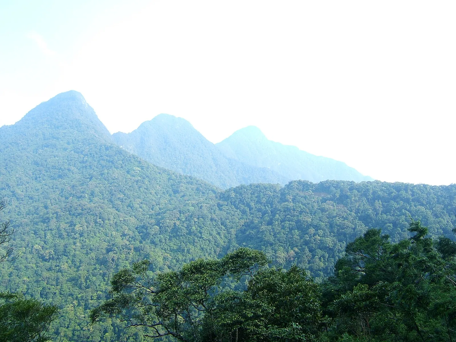 The jagged forested peaks of the Tam Dao range above a green valley
