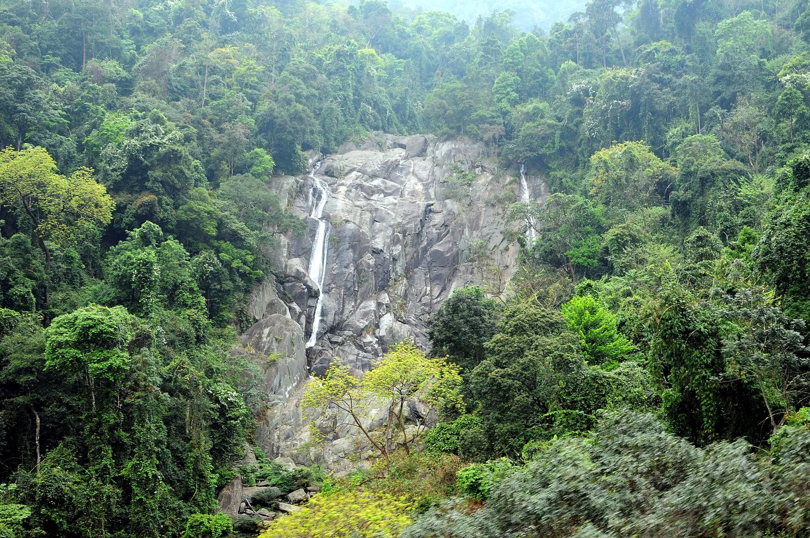 A waterfall dropping down a grey rock face in dense green forest at Tay Thien