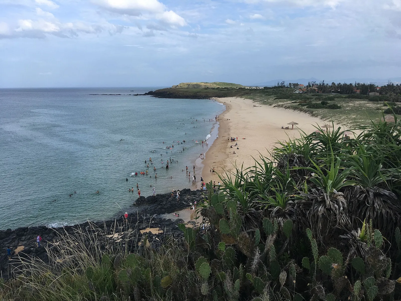 Bai Xep beach curving below a grassy headland with cactus in the foreground