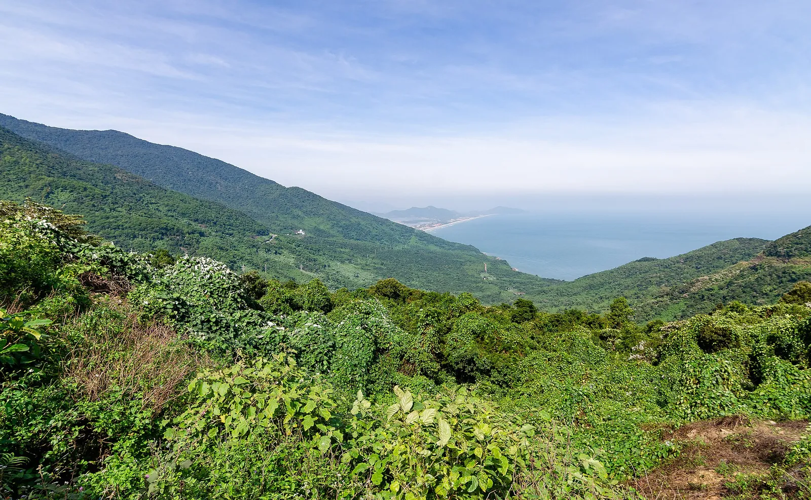 Green forested slopes of the Hai Van Pass falling to the sea, with the Lang Co coast in the distance under a blue sky