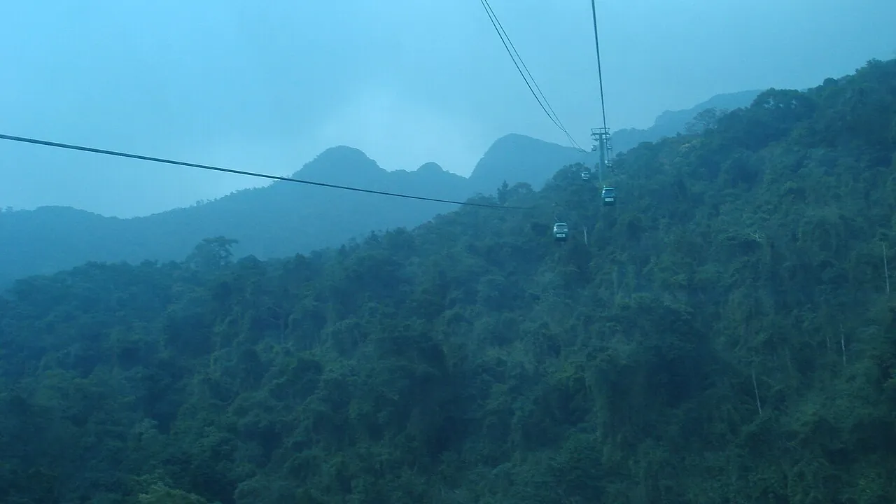 Cable car cabins on a line above dense green forest on Yen Tu Mountain